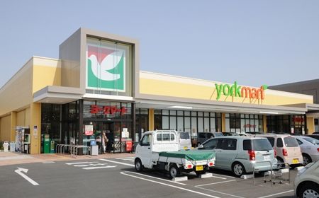 ヨークマート秦野緑町店の画像