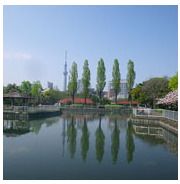 猿江恩賜公園の画像