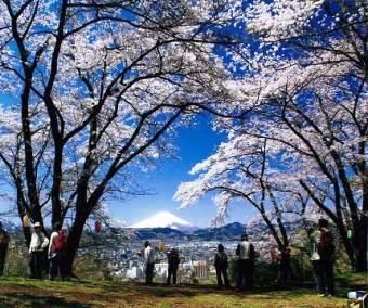 弘法山公園の画像