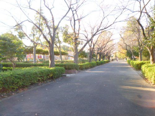 上尾丸山公園の画像