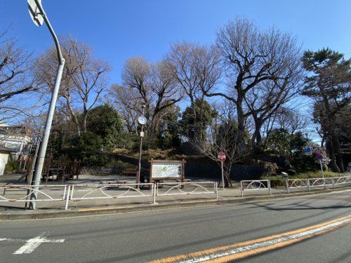 世田谷城址公園の画像