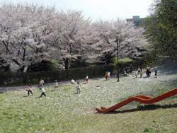 東本郷公園の画像