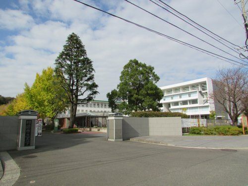 横浜市立大学　金沢八景キャンパスの画像