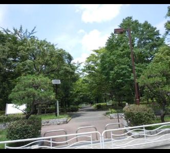 亀戸中央公園の画像