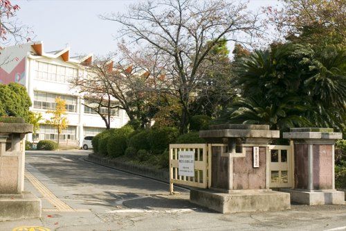 東海市立横須賀小学校の画像