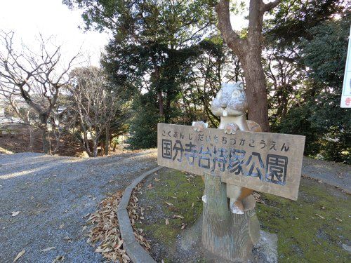 国分寺台持塚公園の画像