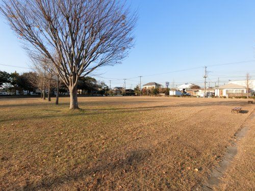 青柳中央公園の画像