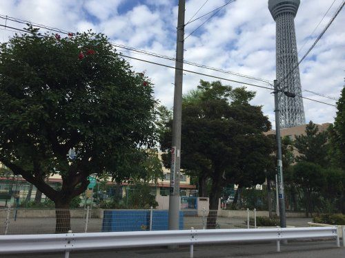 横川公園の画像