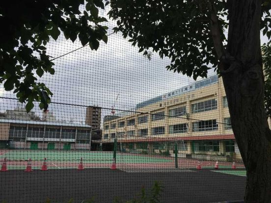 墨田区立 横川小学校の画像