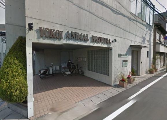 横井動物病院の画像