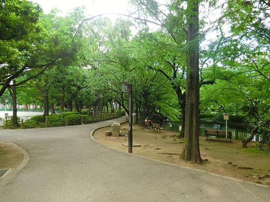 馬橋公園の画像