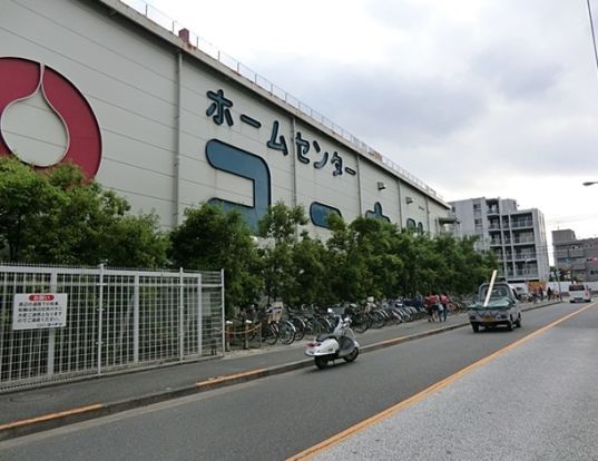 ホームセンターコーナン　本羽田萩中店（ほんはねだはぎなか） の画像