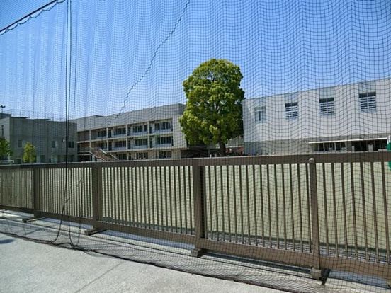 世田谷区立松沢小学校の画像