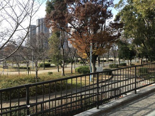 桜之宮公園の画像