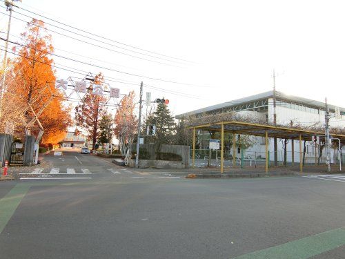 大沼公園の画像