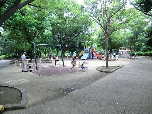 祖師谷公園の画像