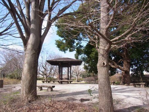 下里本邑遺跡公園の画像