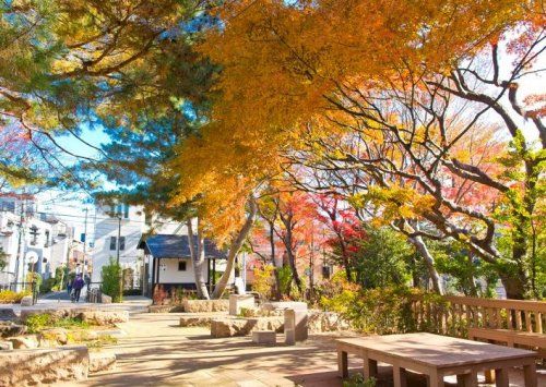 赤松ぼっくり庭園緑地の画像