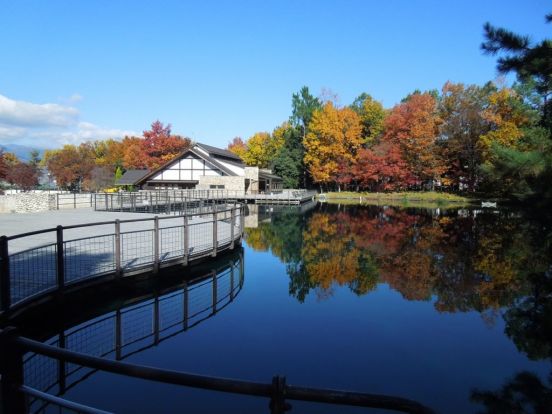 山梨県森林公園　金川の森の画像