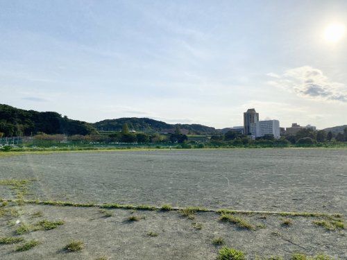 岩沢運動公園の画像