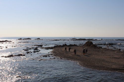 芝崎海岸の画像