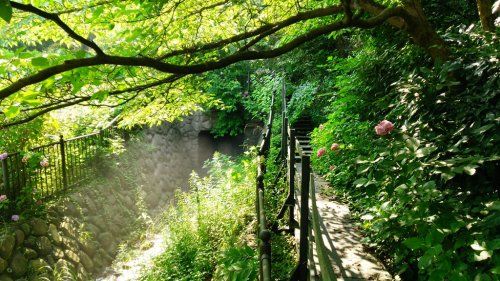 子安の里　関渡川遊歩道の画像