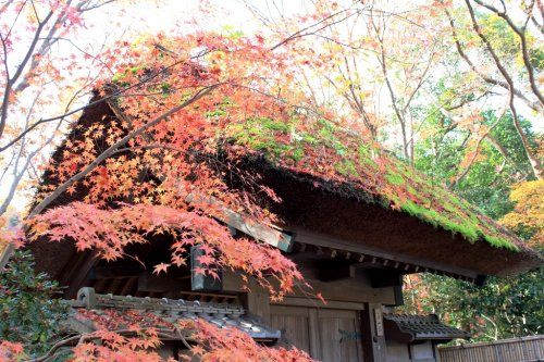 茅山荘の画像