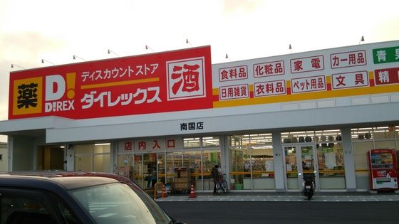 ダイレックス南国店の画像