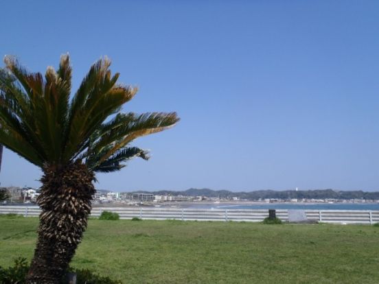 鎌倉海浜公園（坂ノ下）の画像