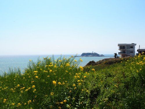 七里ガ浜からの景色の画像