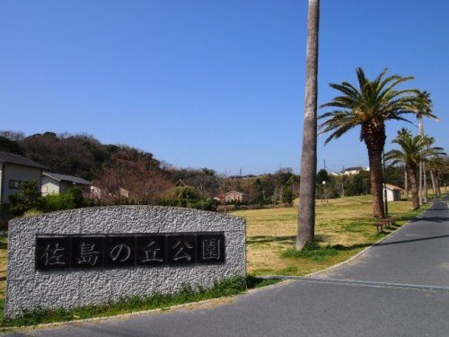 佐島の丘公園の画像