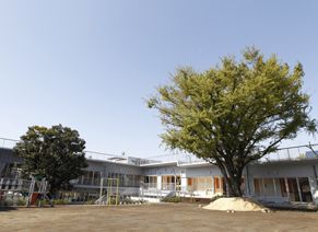 日本女子大学附属豊明幼稚園の画像