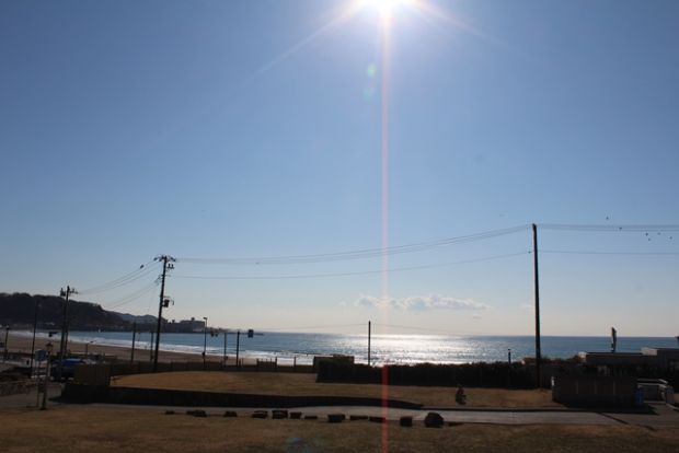 鎌倉海浜公園の画像