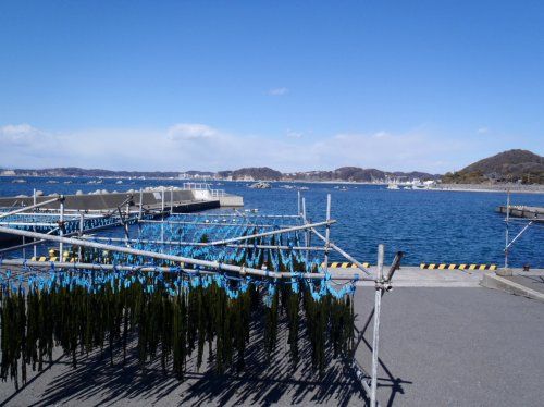 真名瀬漁港の画像