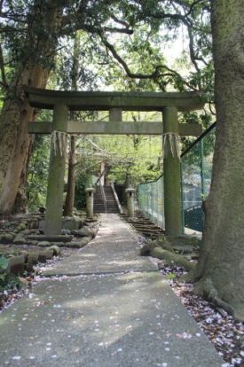 田越神社の画像