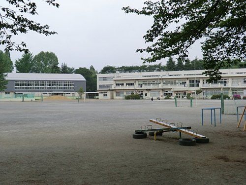 東久留米市立　第七小学校の画像