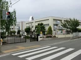 茅ケ崎市立柳島小学校の画像