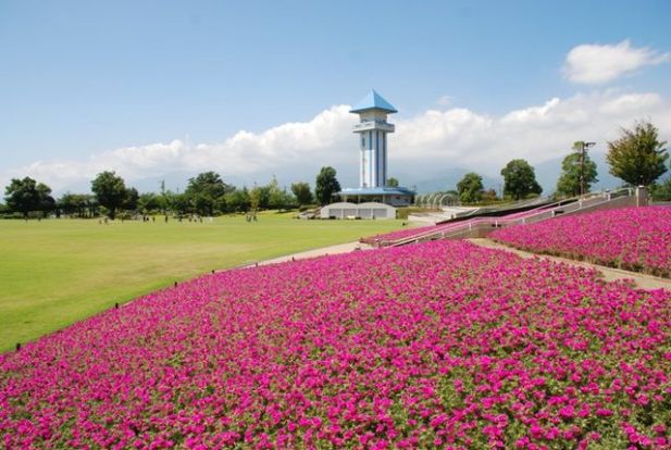 赤坂台総合公園（ドラゴンパーク）の画像