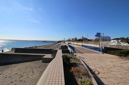 長沢海岸遊歩道の画像