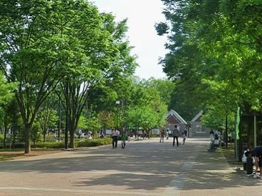 鶴ヶ島市運動公園の画像