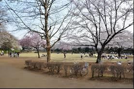 御伊勢塚公園の画像