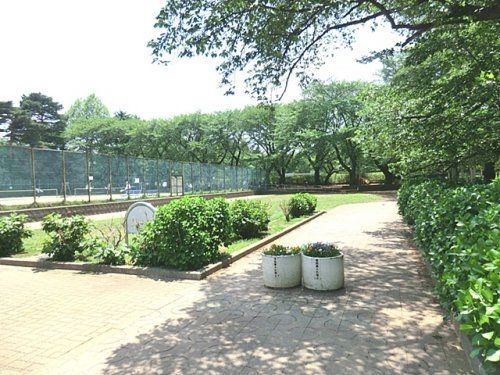 清瀬中央公園の画像