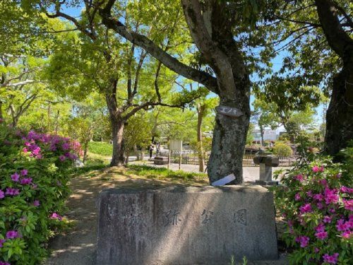 高槻城公園の画像