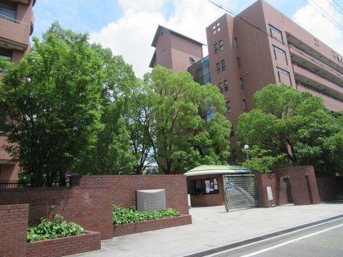 東大阪大学・東大阪大学短期大学部の画像