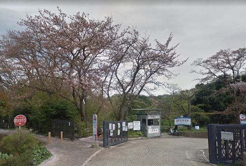 鎌倉中央公園 清水塚口の画像