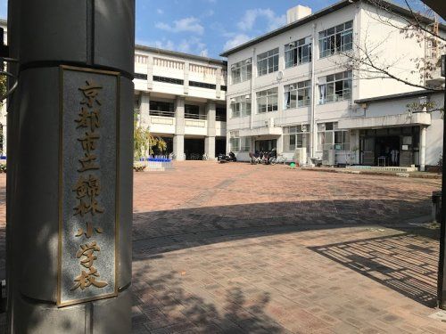 錦林小学校の画像