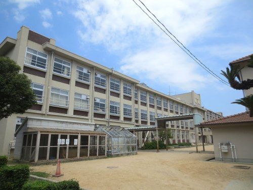 大阪市立住吉小学校の画像