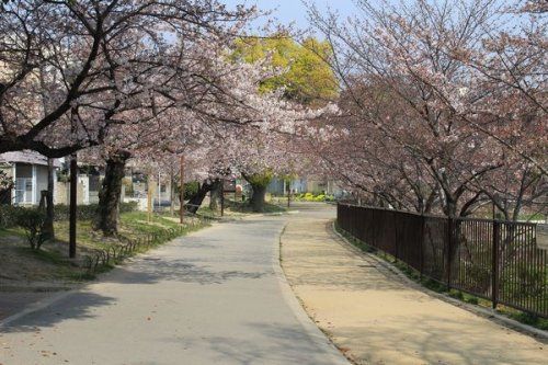 万代池公園の画像