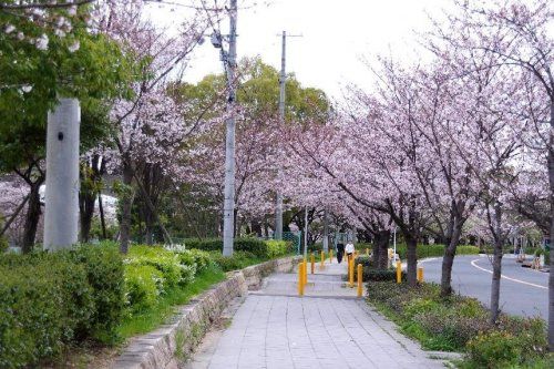 毛馬桜ノ宮公園の画像