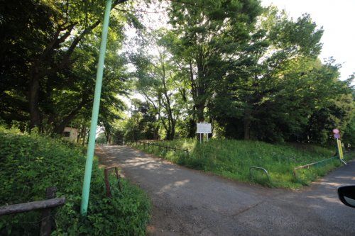 滝山公園の画像